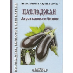 Патладжан – агротехника и бизнес  
