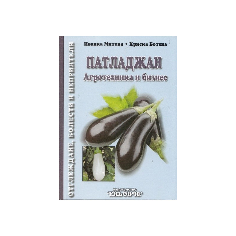 Патладжан – агротехника и бизнес  