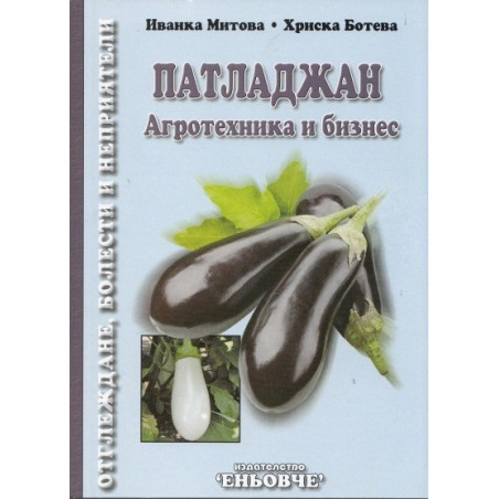 Патладжан – агротехника и бизнес  
