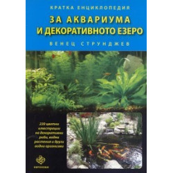За аквариума и декоративното езеро 