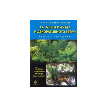 За аквариума и декоративното езеро 
