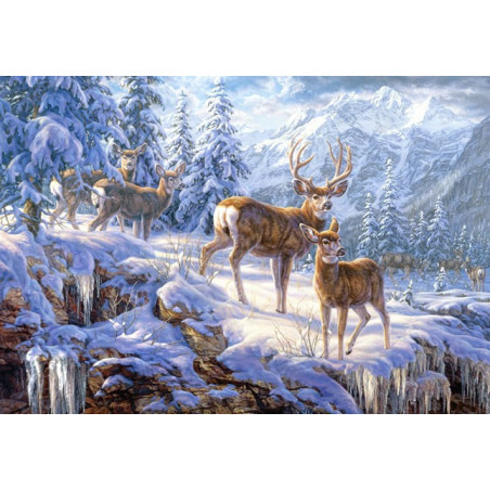 Winter mountain light