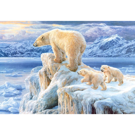 Arctic kingdom