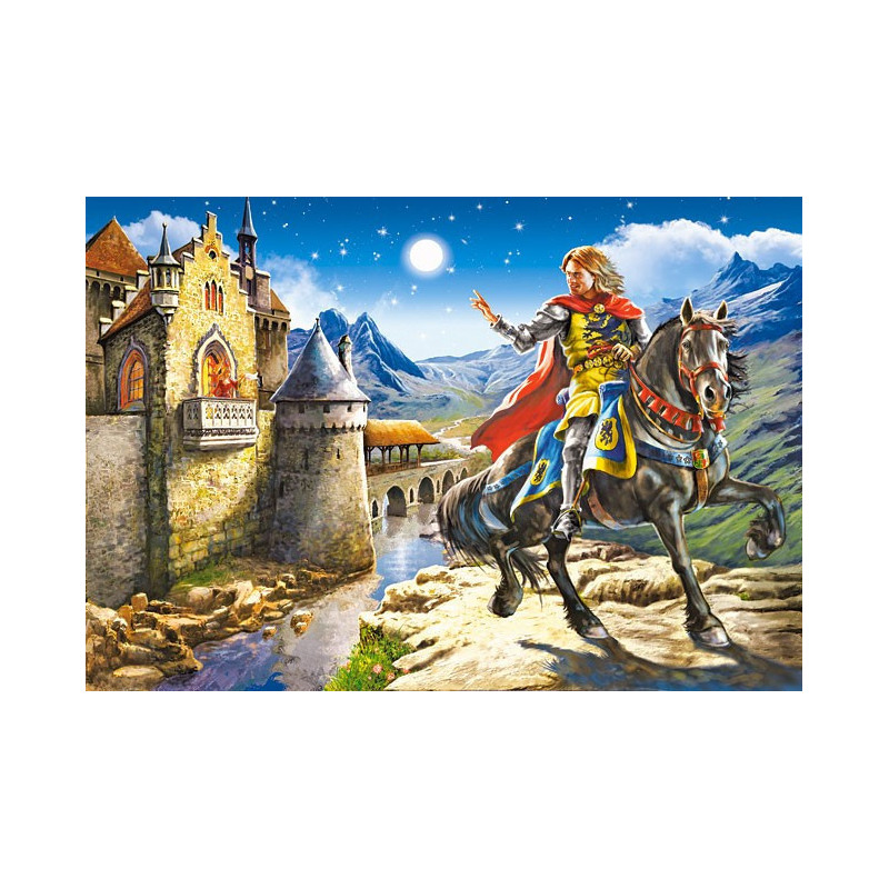 Knight and Princess