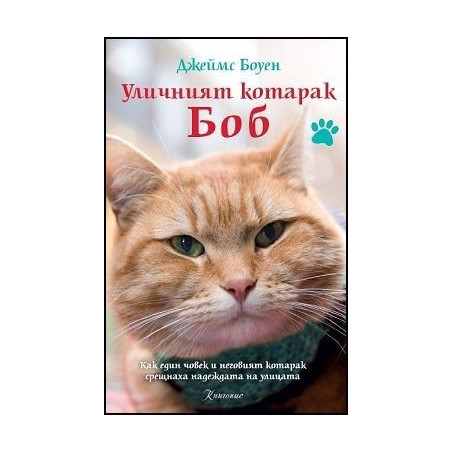 Уличният котарак Боб