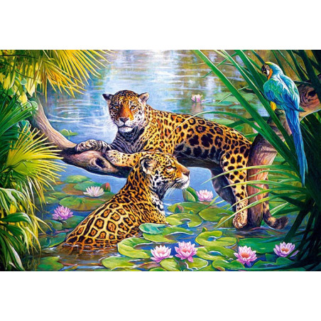 Rest on the Branch