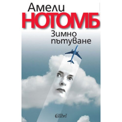 Зимно пътуване