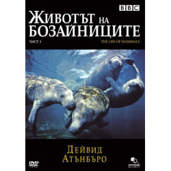 Бозайници - енциклопедия + DVD диск