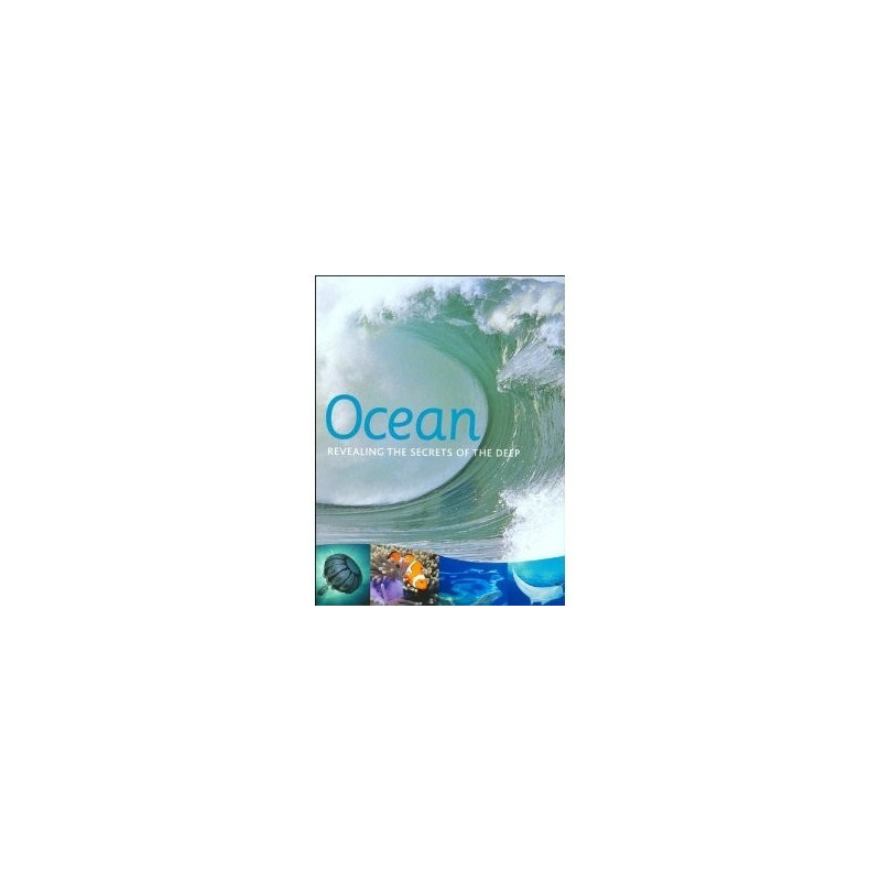 Ocean