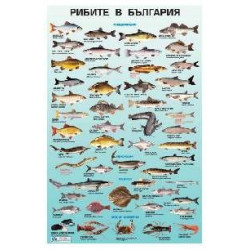 Табло "Рибите в България"