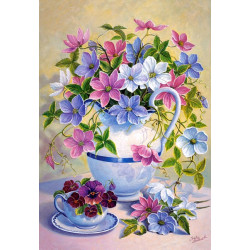 Clematis