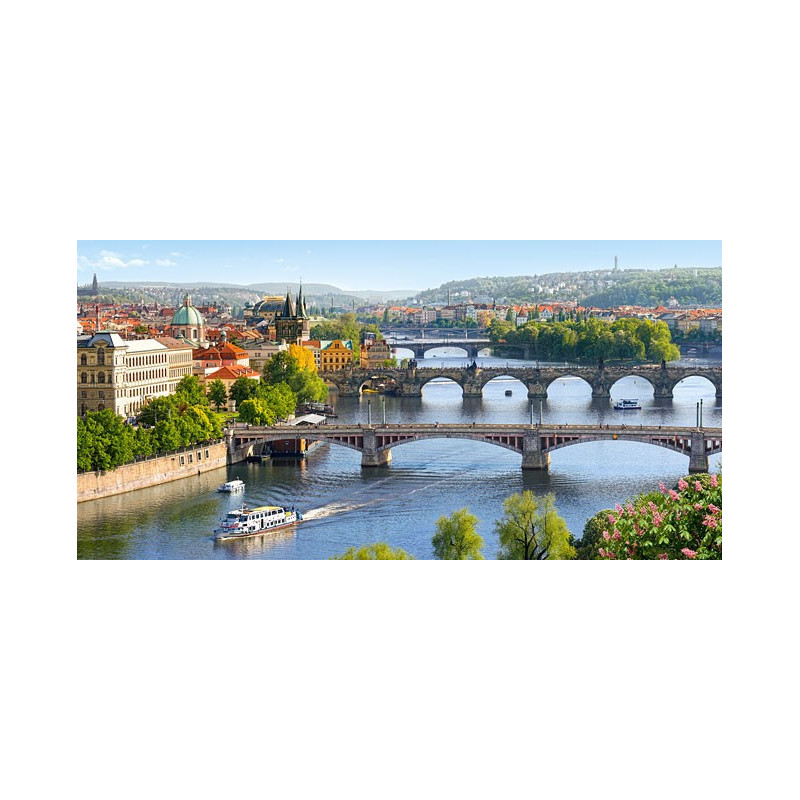 Vltava Bridges in Prague
