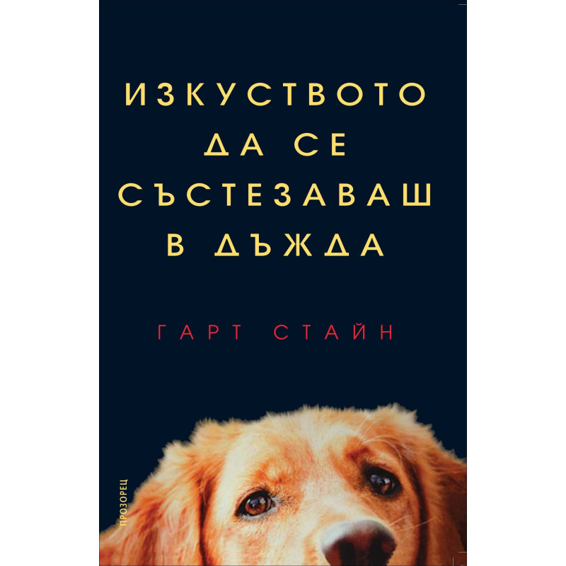 Изкуството да се състезаваш в дъжда