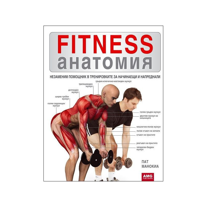 Fitness анатомия
