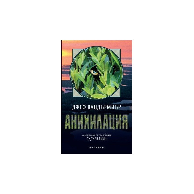 Анихилация