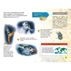  Ужасяващи и грозни морски създания
