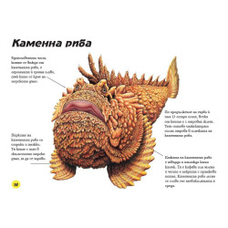  Ужасяващи и грозни морски създания