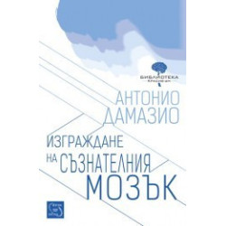Изграждане на съзнателния мозък