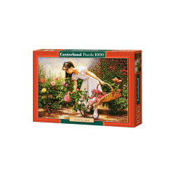 At the rose garden - 1000 елементи