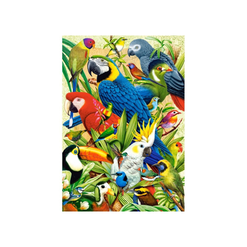 Avian world - 1000 елемента