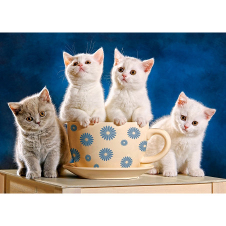 Looking for milk - 500 елемента