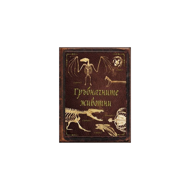Гръбначните животни