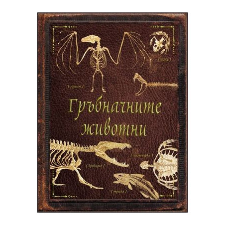 Гръбначните животни