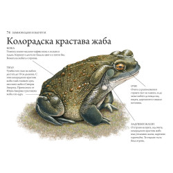 Хищниците