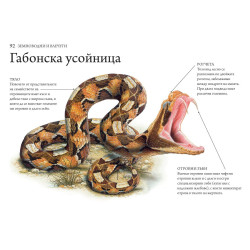 Хищниците