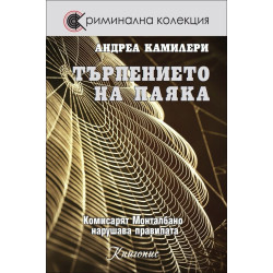 Търпението на паяка