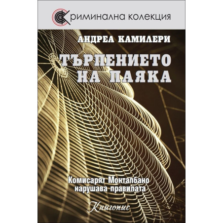 Търпението на паяка