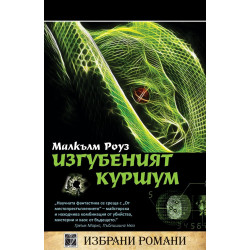 Изгубеният куршум