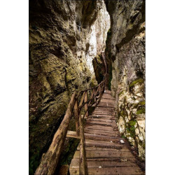 Нови 101 отбивки