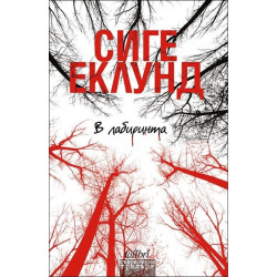 В лабиринта