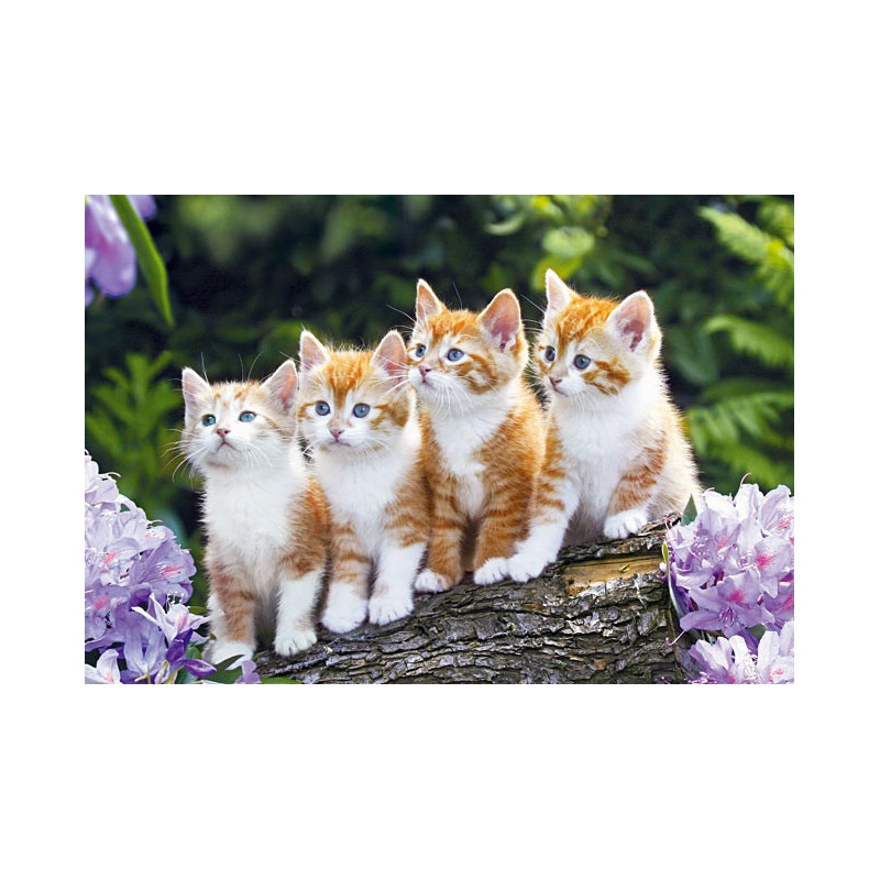 The Cat Crew