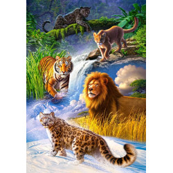 BIG CATS