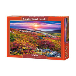 NORTHERN PALETTE
