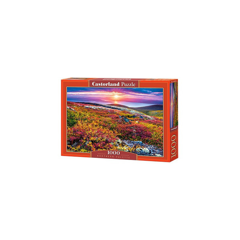 NORTHERN PALETTE
