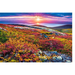 NORTHERN PALETTE