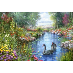 BLACK SWANS, ANDRES ORPINAS