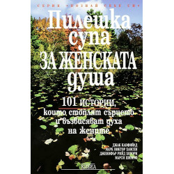 Пилешка супа за женската душа. 101 истории, които стоплят сърцето и възвисяват духа на жените