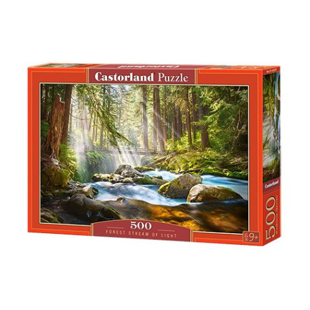 FOREST STREAM OF LIGHT