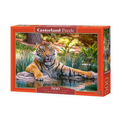 SUMATRAN TIGER