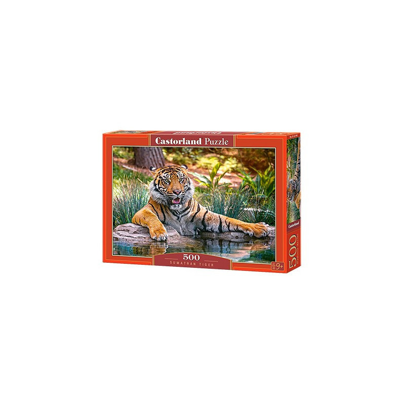 SUMATRAN TIGER
