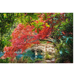 JAPANESE GARDEN