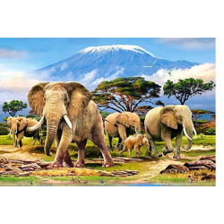 KILIMANJARO MORNING
