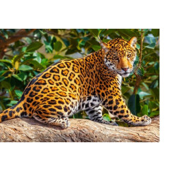 LITTLE JAGUAR 260 елемента