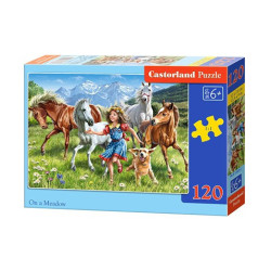 ON A MEADOW 120 елемента