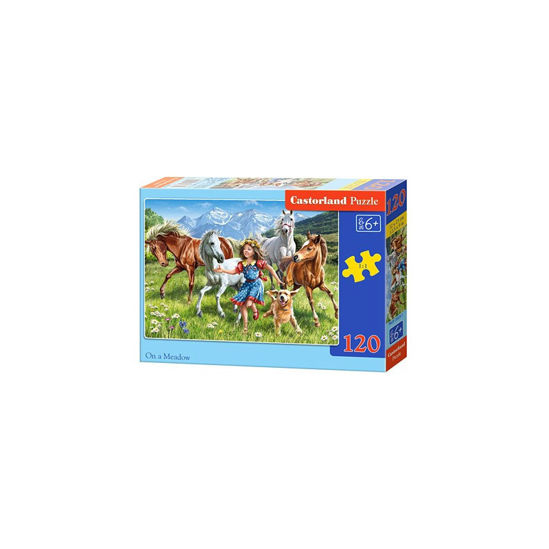 ON A MEADOW 120 елемента