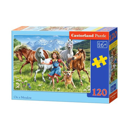 ON A MEADOW 120 елемента